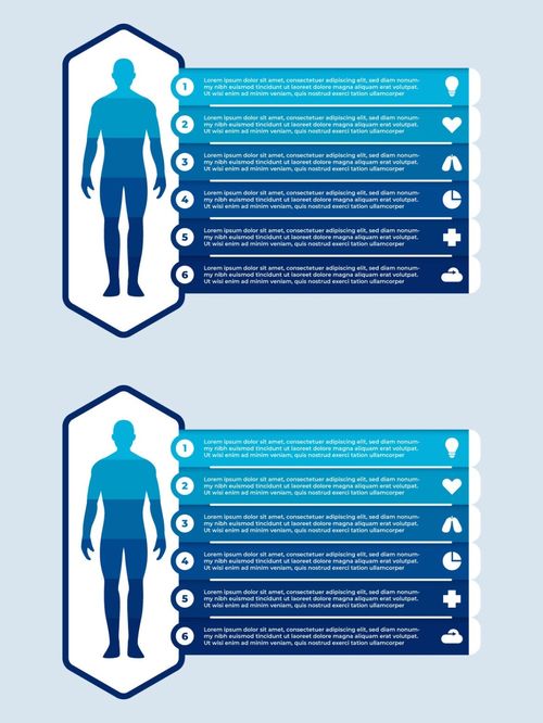 医学信息 信息图形 模板设计 人体 医学 信息 设计素材 设计素材